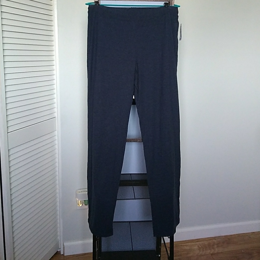 Dressbarn Blue Knit Pants 1X